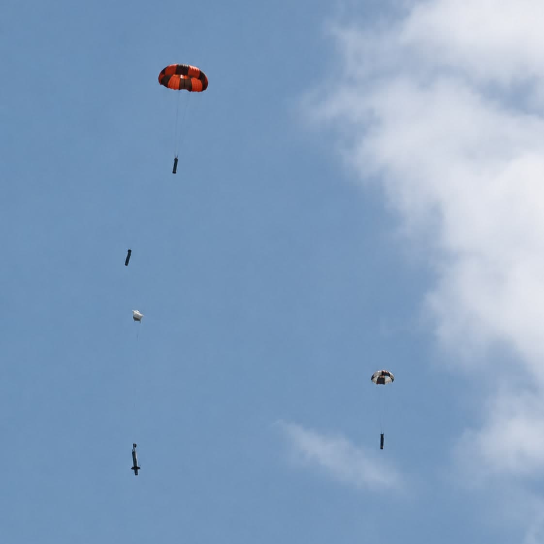 Forest Wyvern's three recovery sections descending separately under the drogue, main, and payload parachutes against a clear sky.